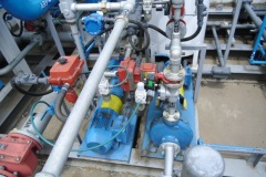 CIMG6788.JPG-1